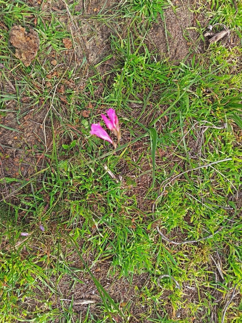 0 Bedroom Property for Sale in Fisherhaven Western Cape